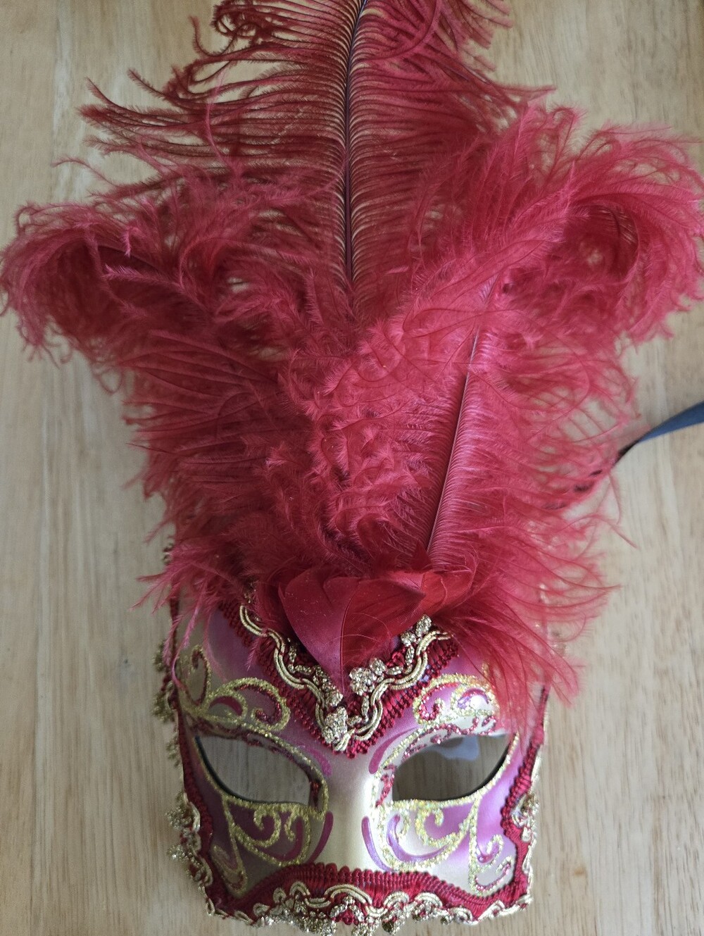 Venetian Red Feather Mask